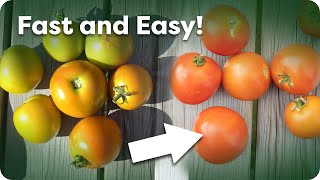 How To Quickly Ripen Green Tomatoes [upl. by Aivle]