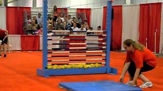 Dog Show  High Bar Jumping [upl. by Samp]