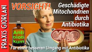 VORSICHT Geschädigte Mitochondrien durch Antibiotika [upl. by Deborah]