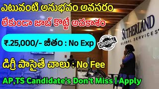 Sutherland Recruitment 2024  Latest Jobs In Telugu  Daily Work From Home Job Updates 2024  Apply [upl. by Glynnis]