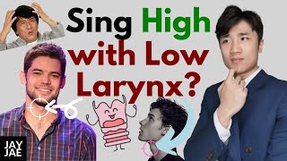 Low larynx Secret to Singing High Notes Personal Experiment footage Revealed [upl. by Yelssew348]