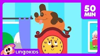 BINGO THE DOG 🐶 More Popular Songs for Kids  Lingokids [upl. by Kort]