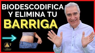 Qué Significa La Barriga En Biodescodificación Transgeneracional Y Cómo Perder Panza [upl. by Inaja]