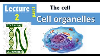 2a Cell organellesPart1 RibosomesCellHistology [upl. by Ykcub]