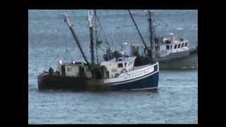 Fishing For World Famous Digby Scallops In The Annapolis Basin [upl. by Lowis]