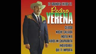 Pedro Yerena  12 Grandes Exitos Disco Completo [upl. by Atinat69]