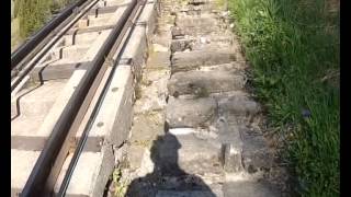 Running up the longest staircase in the world Niesenlauf [upl. by Attesoj74]