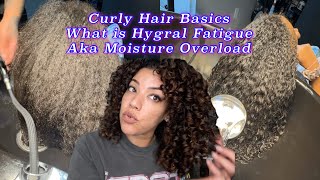 Curly Hair Basics What is Hygral FatigueMoisture Overload amp How to Fix It hairdamage [upl. by Bonis]