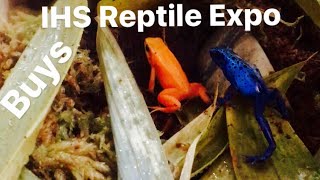 Poison Dart Frogs  Mixed Species from Expo to Tank [upl. by Ferne]