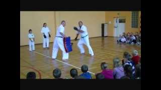 Kazoku Kenpo Karate  ciosy uderzenia i kopnięcia  siła i precyzja  2012 [upl. by Lorena]