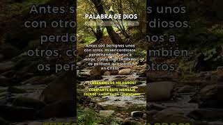 🙏 PALABRA DE DIOS 🙏 Efesios 432 [upl. by Asseralc]