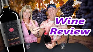 Fantini Sangiovese Wine Review [upl. by Einomrah]