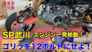 【エンジン一発始動！】SP武川でゴリラを12ボルト化！HONDA GORILLA MIKUNI 4ミニ Z50J モンキー シャリー DAX [upl. by Malsi]