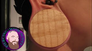 How to Stretch your Earlobe Piercings the safe and healthy way [upl. by Arlee]