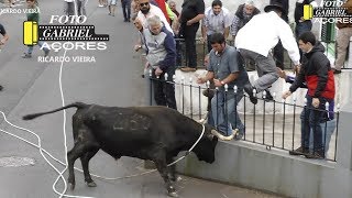 AS Melhores Touradas 2018 Parte 6 Ilha Terceira AÇORES [upl. by Naziaf]