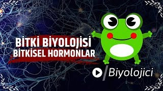 Bitkisel Hormonlar tyt ayt yks [upl. by Ruenhcs259]