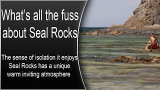 What’s all the fuss about Seal Rocks [upl. by Ailecara]