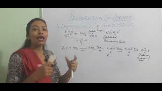 Ammonolysis of alkyl halides class 12 chemistry preparation of amines [upl. by Avalsorim]