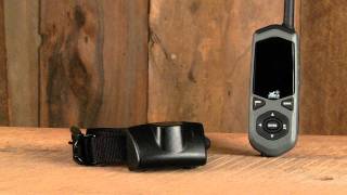 Border Patrol TC1 from DE Systems Wireless GPS Dog Fence [upl. by Anelrad464]