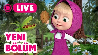 🔴 LIVE Maşa İle Koca Ayı  🥳 Yeni bölüm  Bitkini nasıl eğitirsin 🪴 Masha and the Bear [upl. by Nogem955]