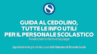 Stipendio docenti e Ata come leggere il cedolino video tutorial [upl. by Bridget]