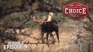 Newfoundland Moose Mania  The Choice Full Episode  S9 Episode 4 [upl. by Airlie]