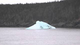 Iceberg Flips Over  Bay Bulls Newfoundland [upl. by Nylatsirhc650]