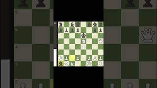 Blackburne shilling gambit trap  Chess Tips and Tricks  chess shorts trap openingtraps [upl. by Chlo692]