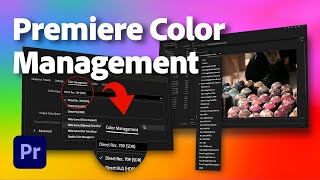 Premiere Color Management  Whats New in Premiere Pro beta  Adobe Video [upl. by Adelice]