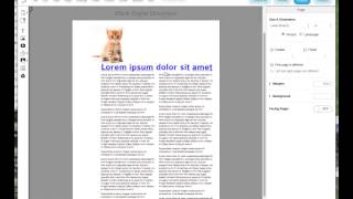 LucidPress tutorial How to fix problematic whitespace in a layout [upl. by Silda]