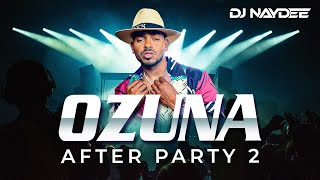 Ozuna Mejores Canciones Mix 2021  2017  Tiempo Despeinada Taki Taki  After Party 2  Dj Naydee [upl. by Dhaf688]