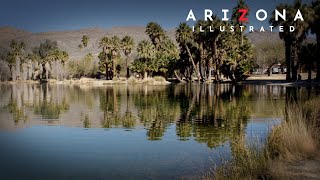 Arizona Illustrated Episode 817  Wings Over Willcox Plants for the Southwest Agua Caliente Park [upl. by Girand624]