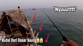 0700 WIB ‼️ Ikan Kolongan Lagi Rakus Rakusnya😱😱 [upl. by Aleet226]