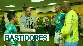 BASTIDORES  Palmeiras 2 x 1 Vitória  Brasileirão 2016 [upl. by Calendra423]