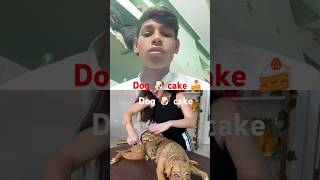 Dog 🐶 cake trending sorts [upl. by Dihaz]