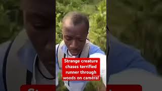 Terrifying Encounter Mysterious Creature Chases Man in the Woods 😱 [upl. by Funk]