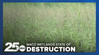 Lake Waco Wetlands in state of destruction as the area celebrates its 20th anniversary [upl. by Revorg]