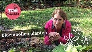 Bloembollen planten  Tuinseizoen [upl. by Yramesor]