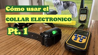 ⚡⚡COMO se usa el COLLAR electronico PARA PERROS ⚡⚡ [upl. by Truman]