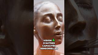 LINCROYABLE HISTOIRE DE DANIEL KISH Le sonar humain [upl. by Cartwright]