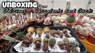 Unboxing Cactus and Succulent from Portugal  7 Gymnocalycium and more  May11 [upl. by Diella]