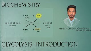 Glycolysis  Introduction  BIOCHEMISTRY  বাংলা [upl. by Evvie]