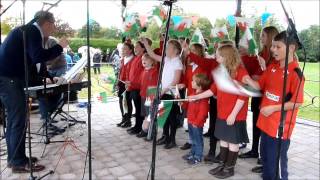 FYIBreconcom Ysgol y Bannau Choir Brecon Bandstand 111014 [upl. by Ayal]