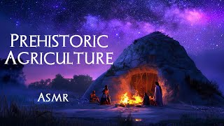 Neolithic Revolution How Agriculture Began ASMR Story for Sleep [upl. by Hinman]