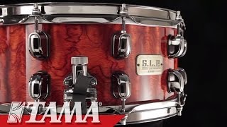 TAMA SLP GBubinga Snare Drum [upl. by Shotton]