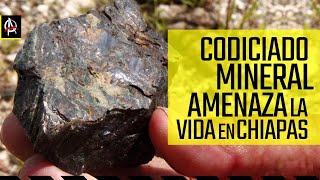 El codiciado mineral que amenaza la vida de los pueblos en Chiapas [upl. by Hermine333]