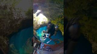 Cenote Diving is Exhilarating cenote rivieramaya mexico maya insta360 [upl. by Yngiram]