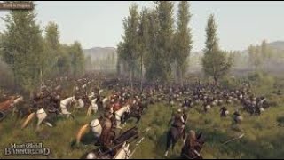 Bannerlord 2 another battle [upl. by Coryden]