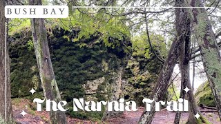 Bush Bay Trail  AKA The Narnia Trail  Clinton Township MI [upl. by Roban]