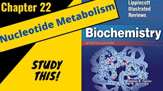 Lippincotts Biochemistry Review Chapter 22 Nucleotide metabolism  Study This [upl. by Braswell]